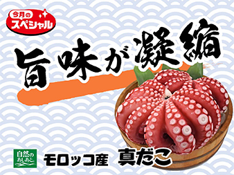 自然のあしあと　モロッコ産真だこ